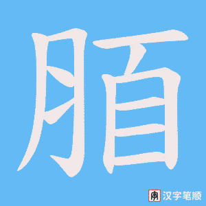 脜笔顺动图