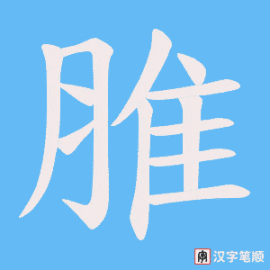脽笔顺动图
