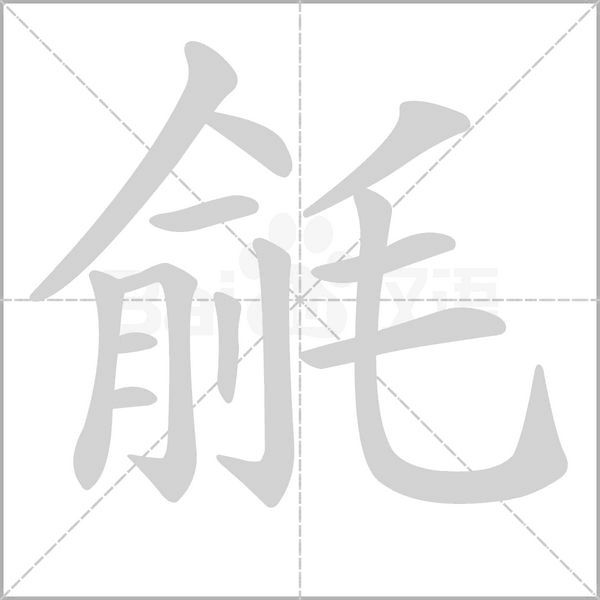 毹笔顺动图
