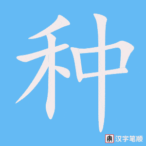 种笔顺动图