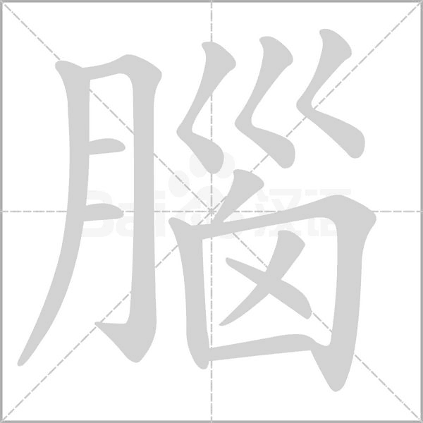 腦笔顺动图