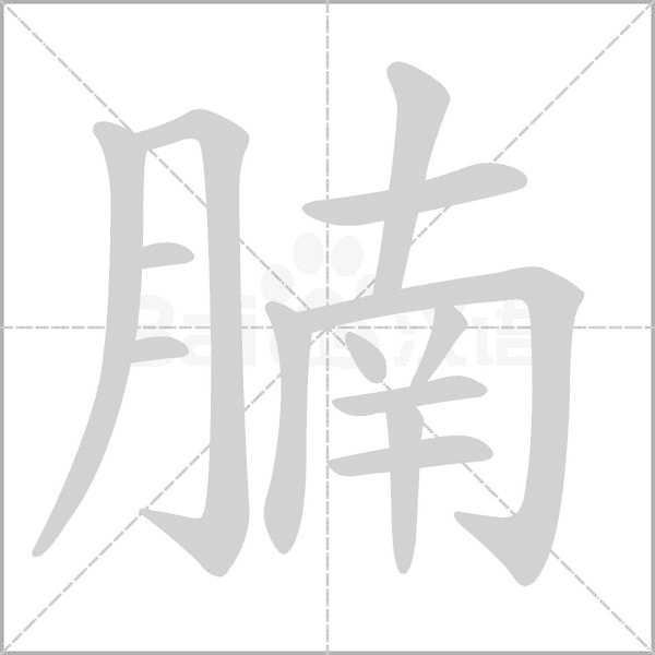 腩笔顺动图
