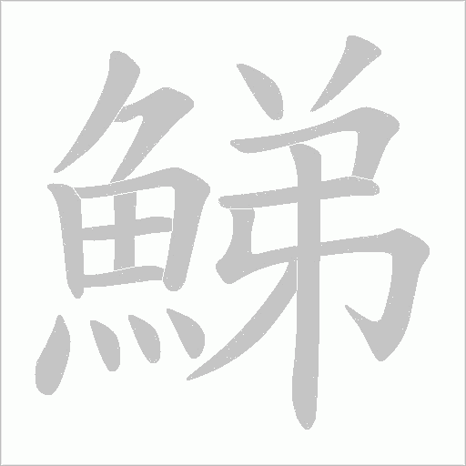 鮷笔顺动图