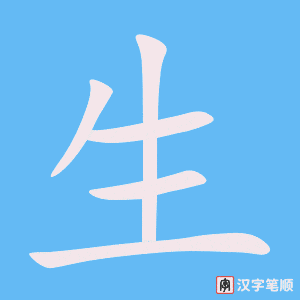 生笔顺动图