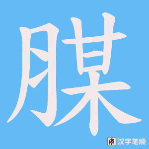 腜笔顺动图