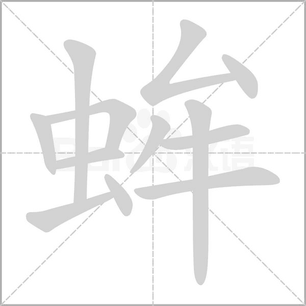 蛑笔顺动图