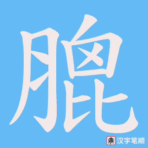 膍笔顺动图
