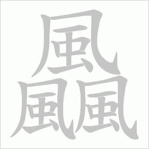 飍笔顺动图