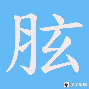 胘笔顺动图