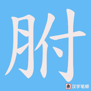 胕笔顺动图