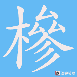槮笔顺动图