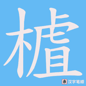 樝笔顺动图