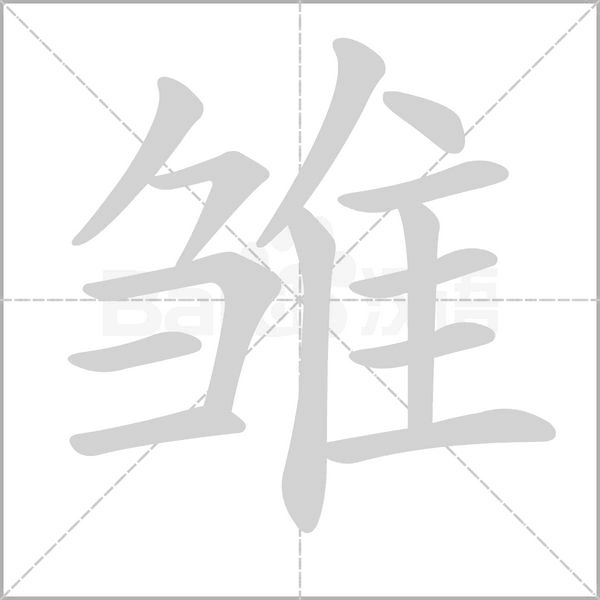 雏笔顺动图