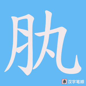 肒笔顺动图