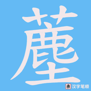 薼笔顺动图