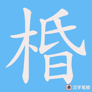 棔笔顺动图