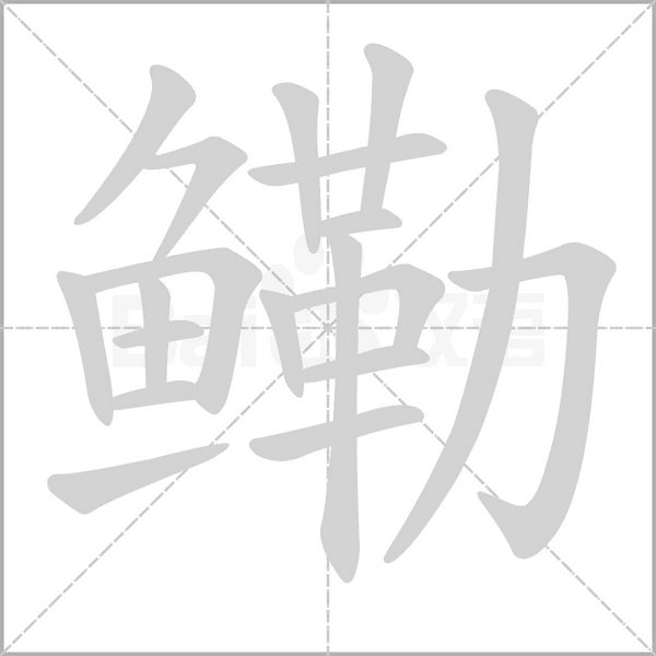 鳓笔顺动图
