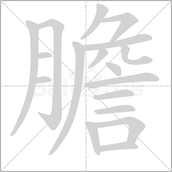 膽笔顺动图