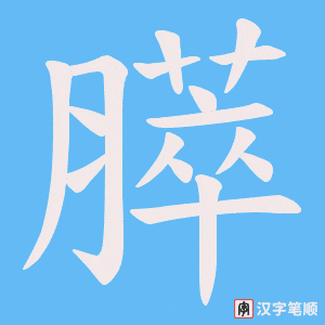 膵笔顺动图