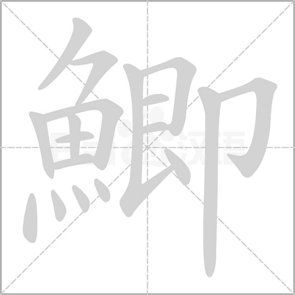 鯽笔顺动图