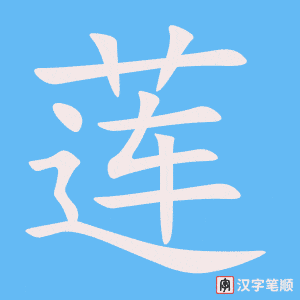 莲笔顺动图