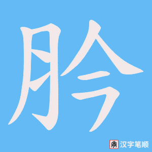 肣笔顺动图