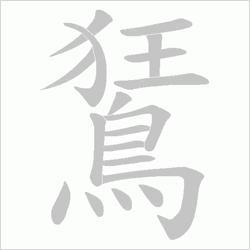 鵟笔顺动图