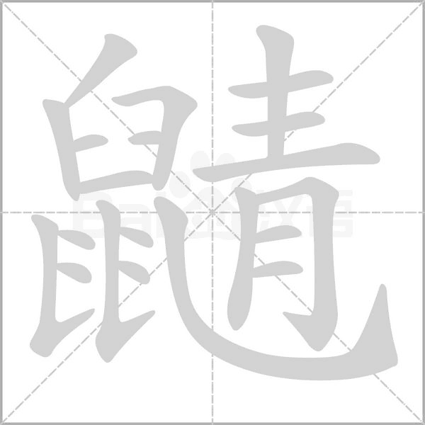 鼱笔顺动图
