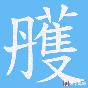 雘笔顺动图