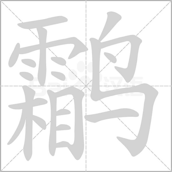 鹴笔顺动图