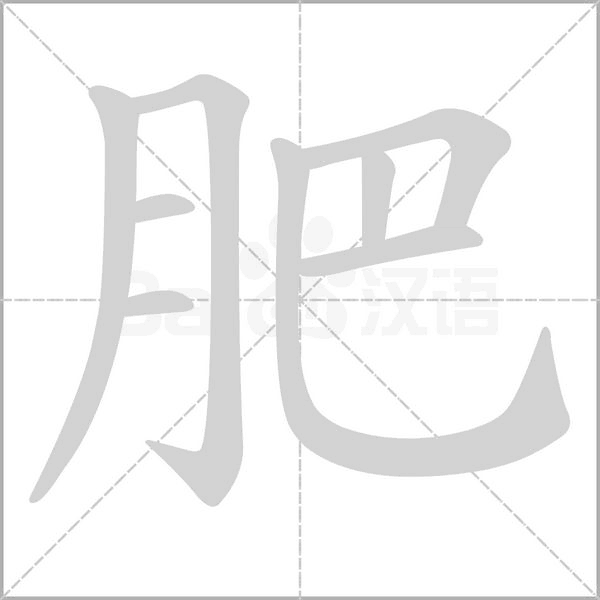 肥笔顺动图