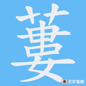 蔞笔顺动图
