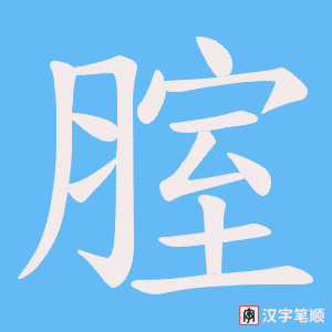 腟笔顺动图
