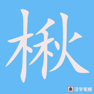 楸笔顺动图