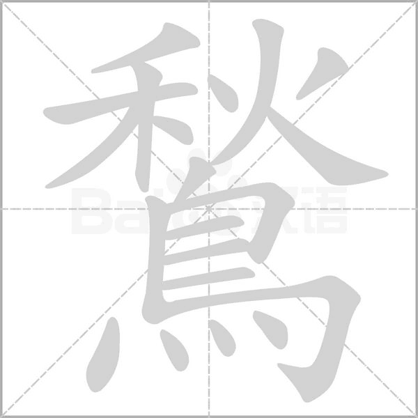 鶖笔顺动图