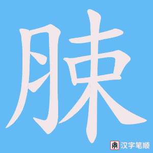 脨笔顺动图