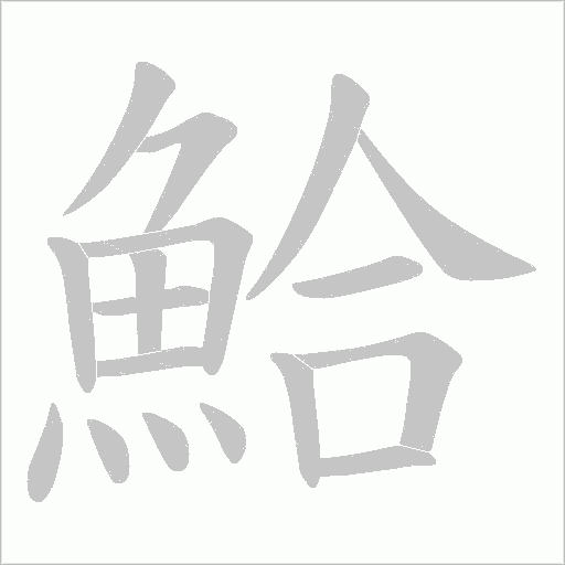 鮯笔顺动图
