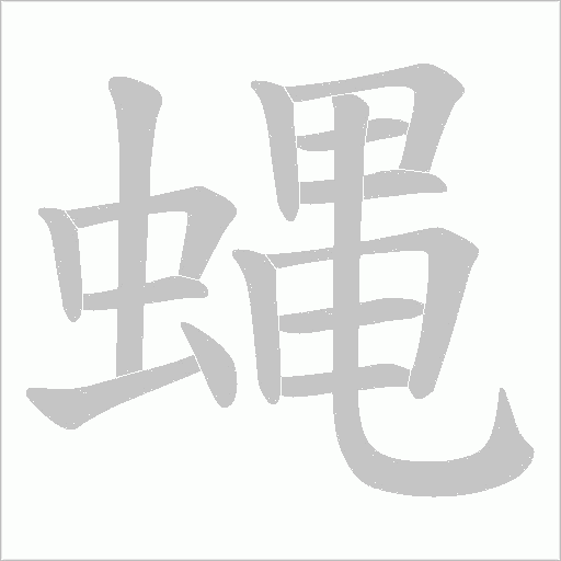 蝿笔顺动图