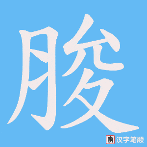 脧笔顺动图
