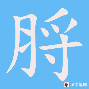 脟笔顺动图