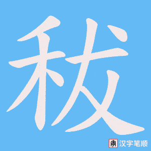 秡笔顺动图