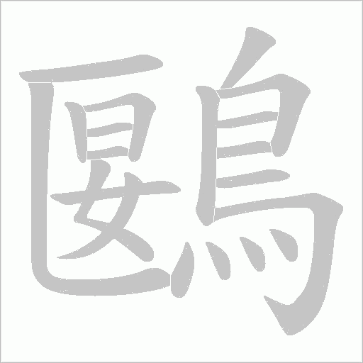 鶠笔顺动图
