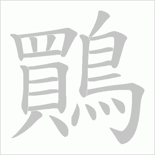 鷶笔顺动图