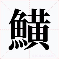鱑笔顺动图