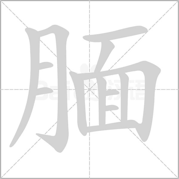 腼笔顺动图