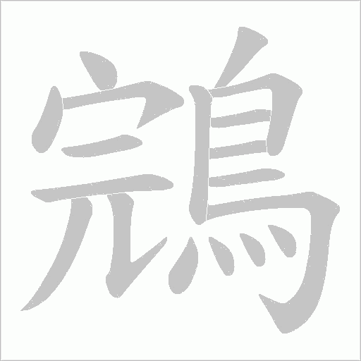 鵍笔顺动图