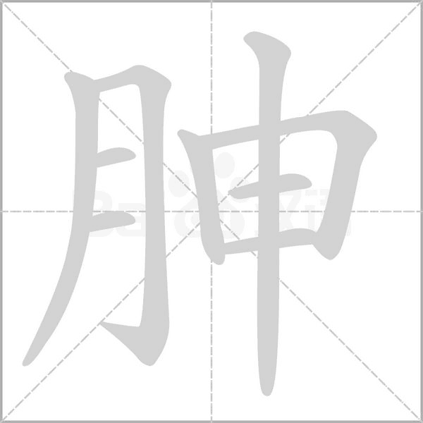胂笔顺动图