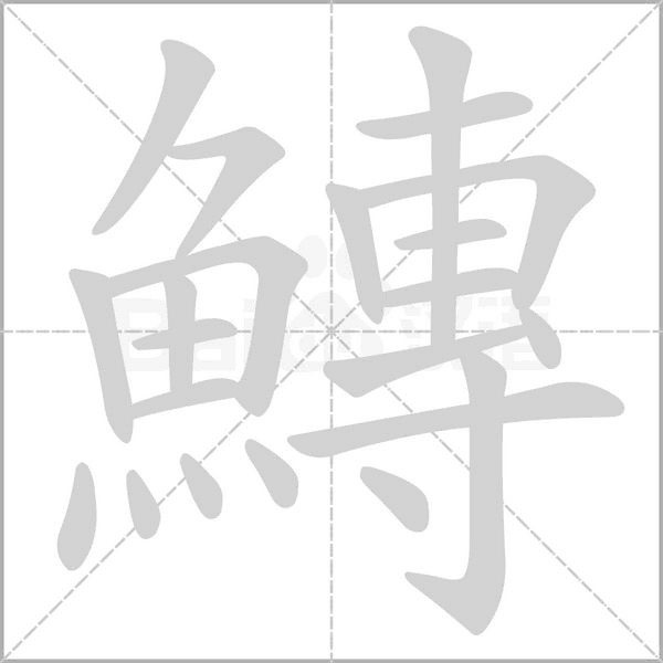 鱄笔顺动图