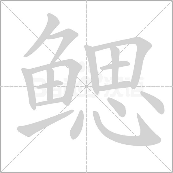 鳃笔顺动图