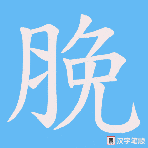 脕笔顺动图